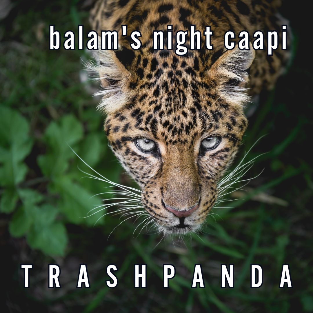 Balam's Night Caapi