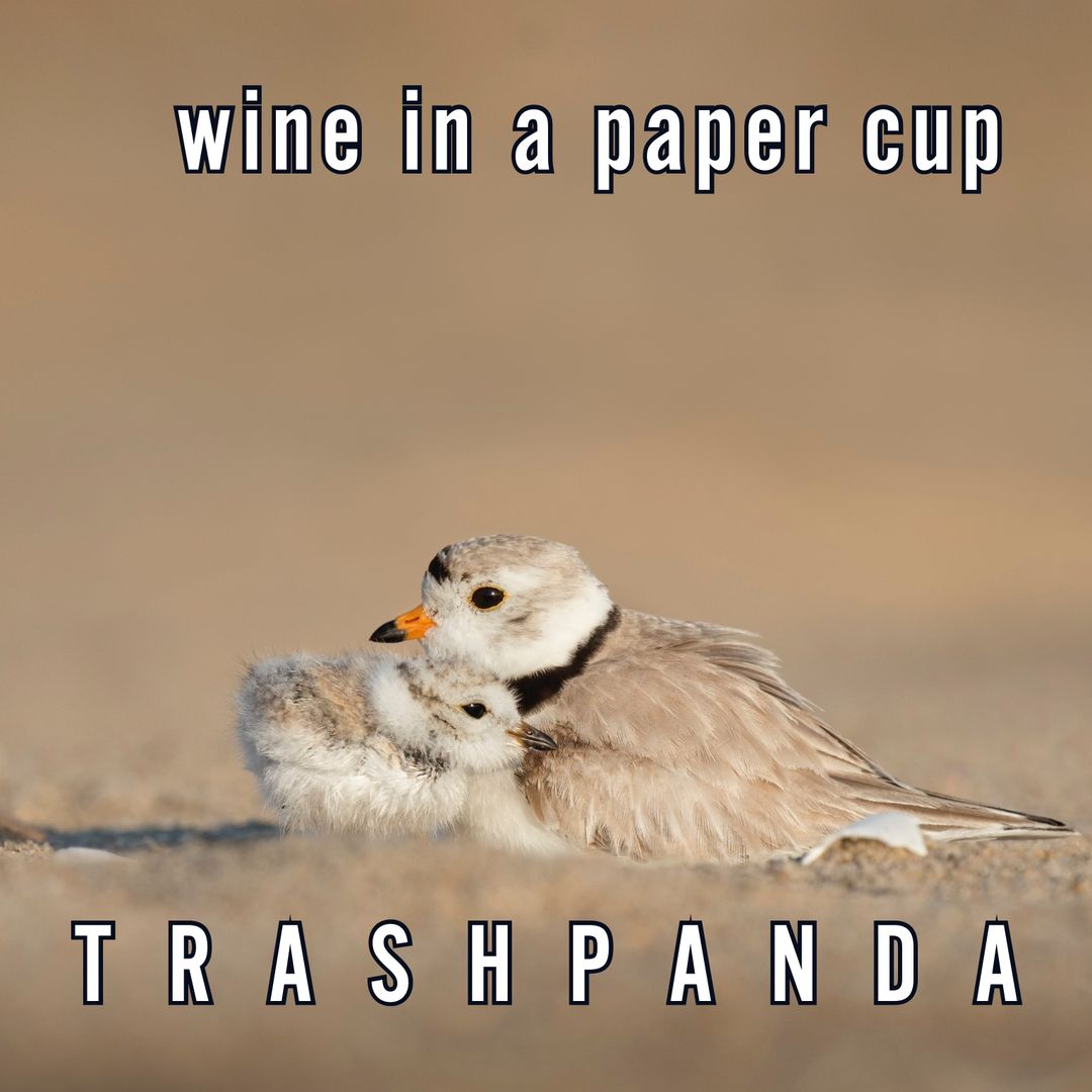 Wine In A Paper Cup